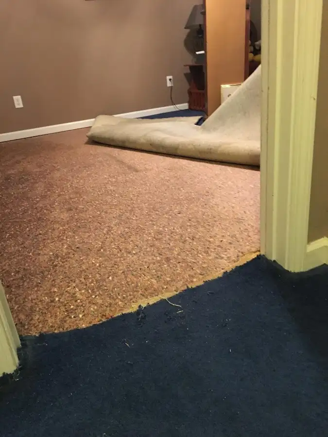 Carpet pad removal revealing water damage during Water Mitigation Services in Macclenny
